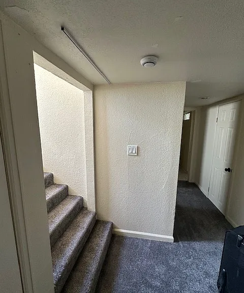 Stairs going to basement with other two bedrooms, 3/4 bath, and laundry area