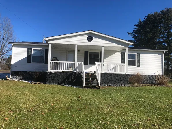 24 Orchard St, Nettie, WV 26681