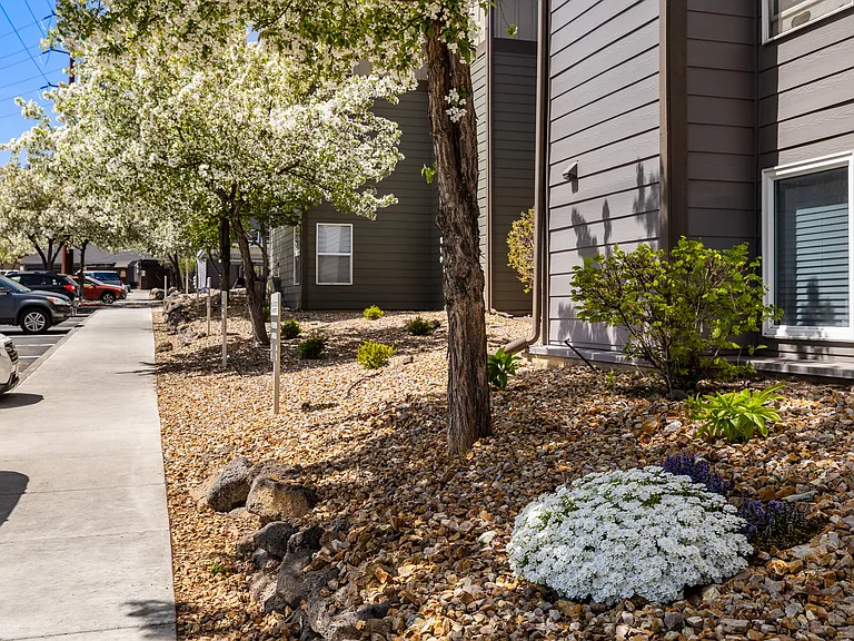 The Commons @ Pilot Butte — Photo 12