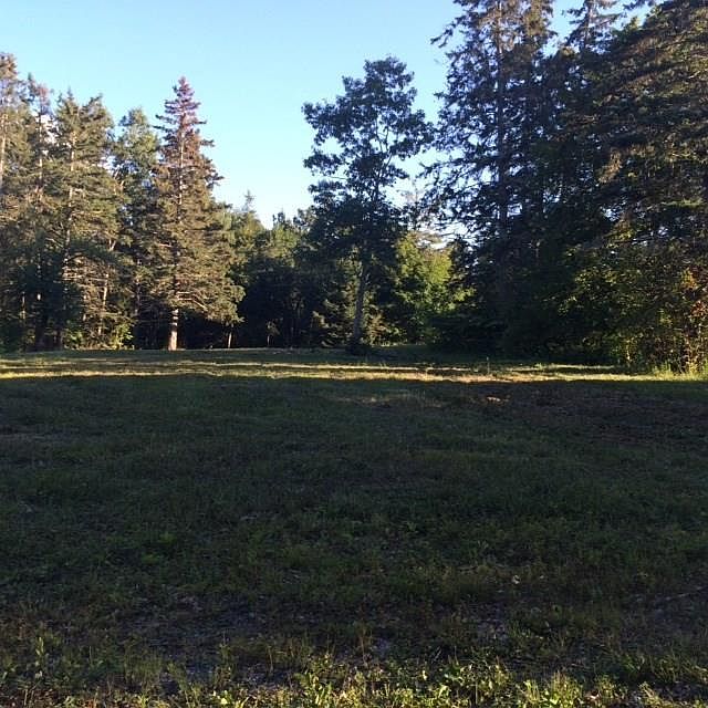2nd image of 0 Laurel Street