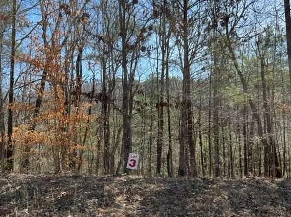 3 Hunter Rdg, Ellijay, GA 30540