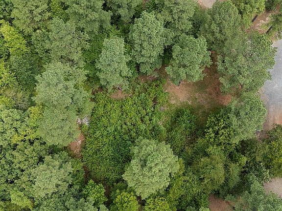 4th image of 179 Coffee Tree Trl Lot 50