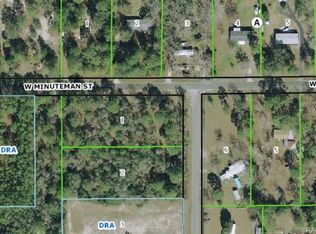 1160 S Gettysburg Dr, Homosassa, FL 34448