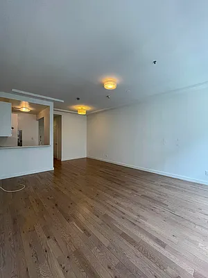 Rented by Voro NYC | media 16