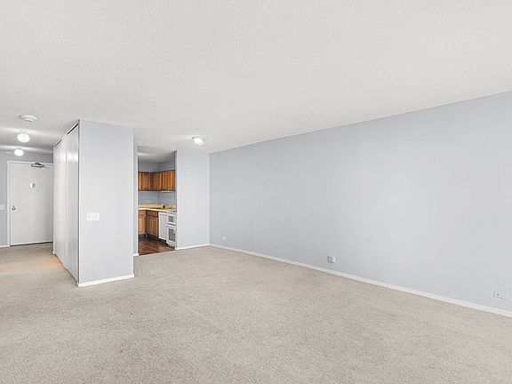 5th image of 899 S Plymouth Ct APT 1105