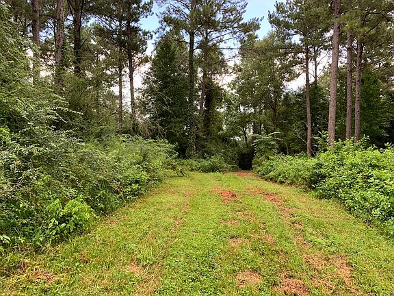 3rd image of LOT 1 Highway 51 N