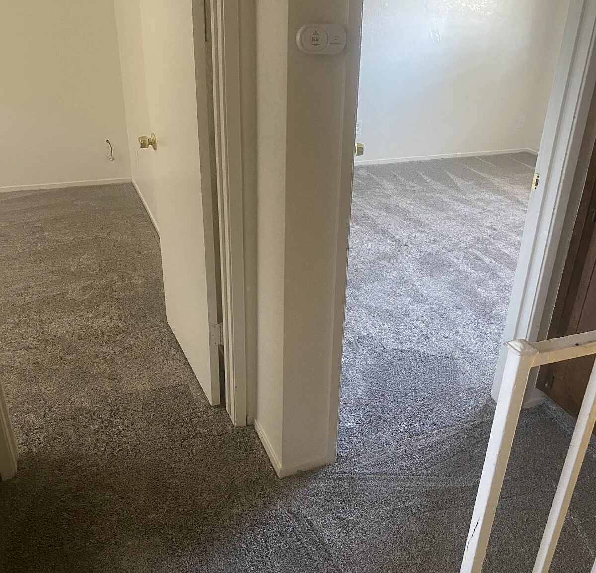 2 bed, 1.5 bath, 800 sqft, $1,300 — Photo 4