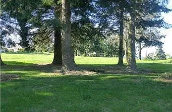4 bed, 2.5 bath, 2090 sqft, $2,900 — Photo 4