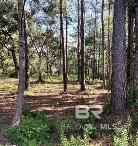 3 Heron Cove Ln #3, Gulf Shores, AL, 36542