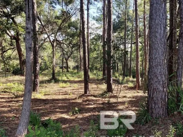 3 Heron Cove Ln #3, Gulf Shores, AL 36542