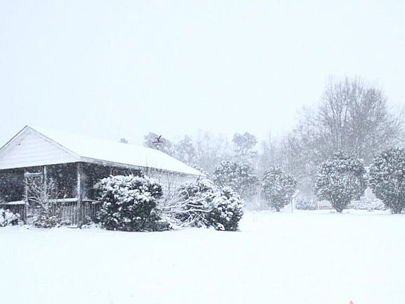 Shed Next To Garden Front Yd