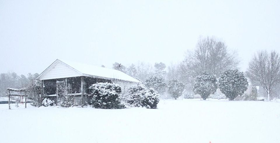 Shed Next To Garden Front Yd
