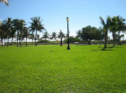 3rd image of 260 Ocean Dr APT 2