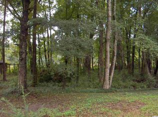 Tbd Porter Rd, Georgetown, SC 29440