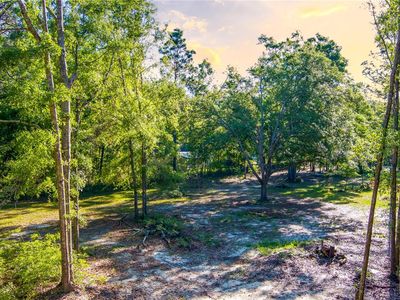 NE Gloriosa Ln, Lee, FL, 32059