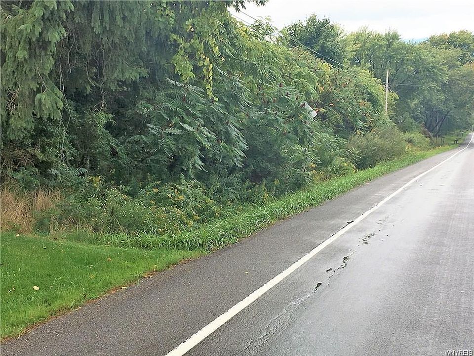 2nd image of 4556 E Lake Rd