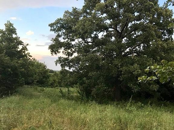4th image of 17005 N County Road 3370