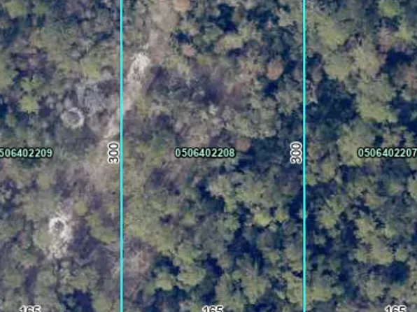 4335 Isaac St, Hastings, FL 32145