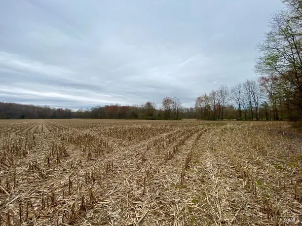 12 Moore Rd, Bethel, OH 45106
