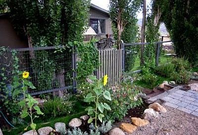 Front yard