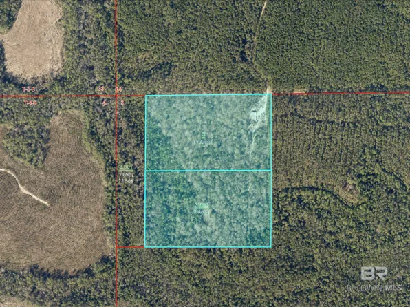 River Rd Parcel A & B, Robertsdale, AL 36567