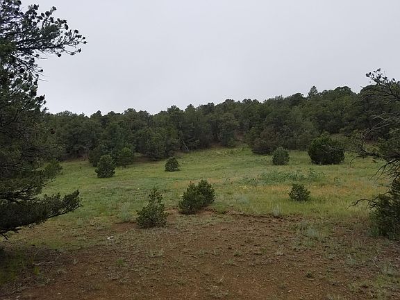 3rd image of County Road 53.5