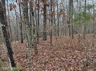 0 Icy Cove Trl Lot 36, Monterey, TN 38574