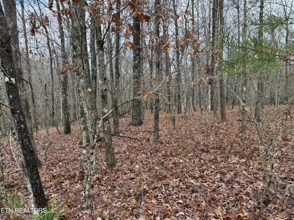 0 Icy Cove Trl Lot 36, Monterey, TN 38574
