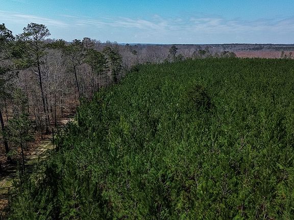 3rd image of 0 Dozier Rd