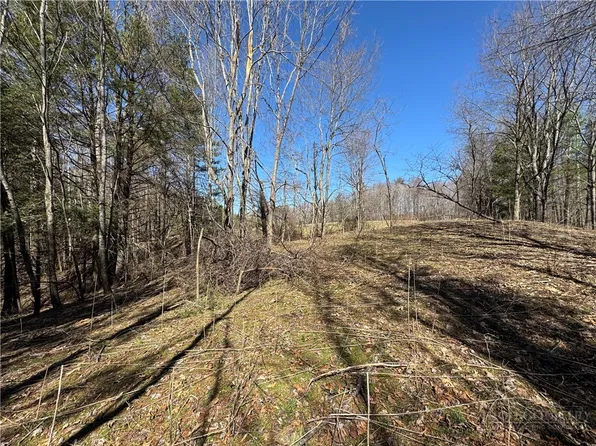 4 +/- Acres Hwy 194, Warrensville, NC 28693
