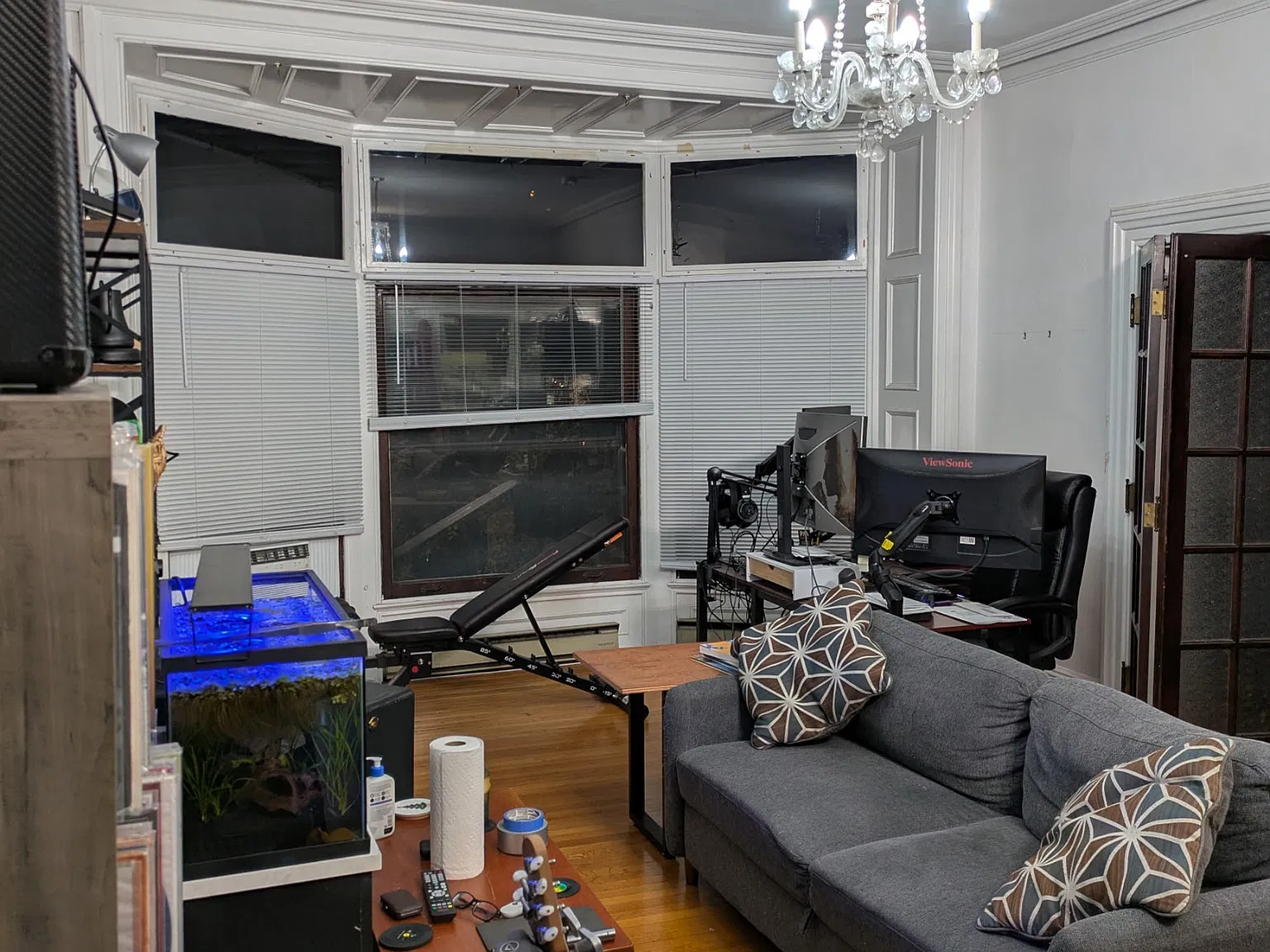 1 bed, $1,095 — Photo 4
