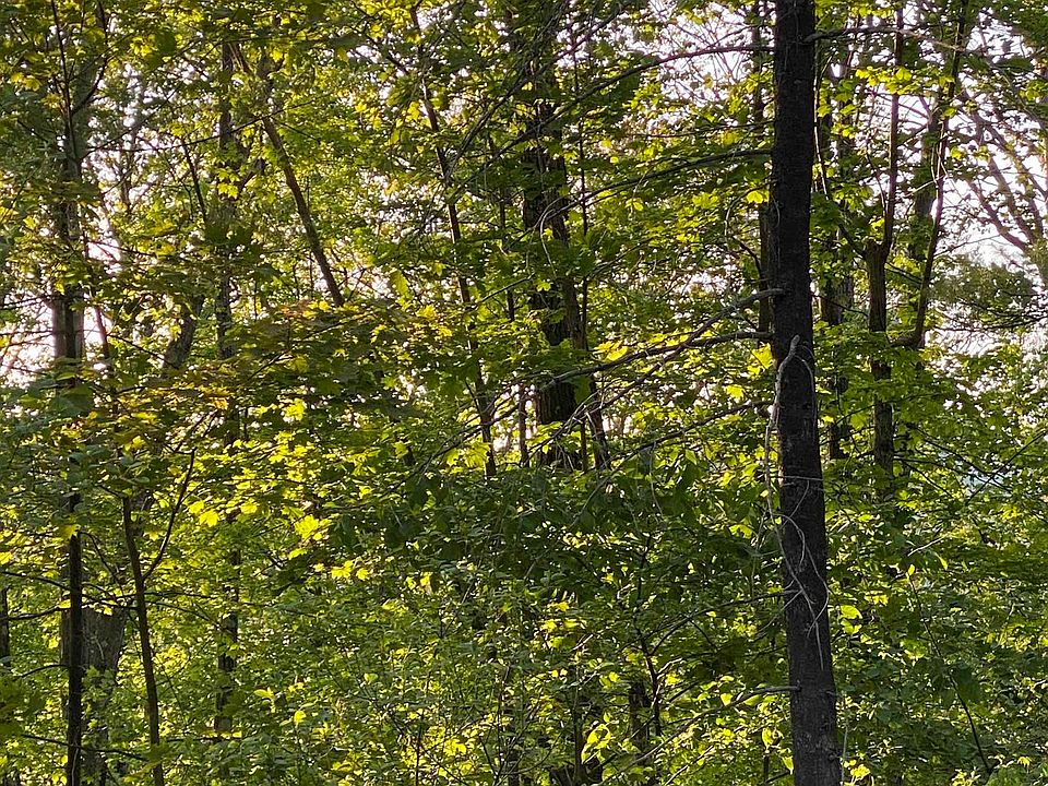 0 Vershire Riding School Rd, Vershire, VT 05079 MLS 4954505 Zillow