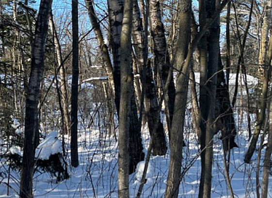3rd image of 18004 Mission Creek Run