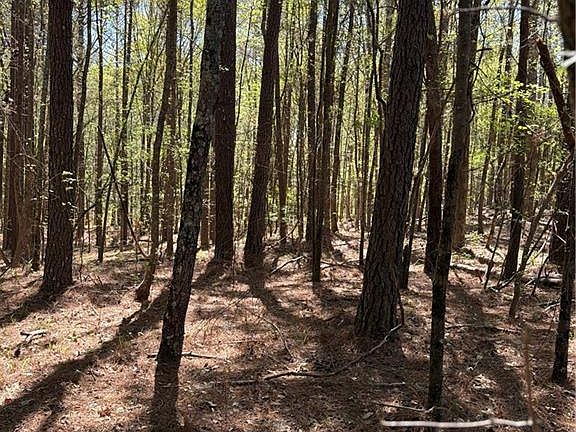 3rd image of N/a Old Union Point Rd
