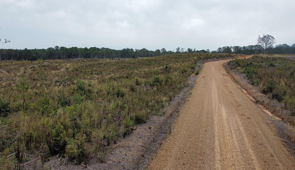 1 County Road 1115, Kosciusko, MS 39090 MLS 140204 Zillow