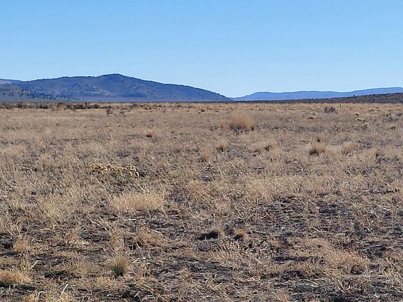 3rd image of 300 / Juniper Ridge Rd