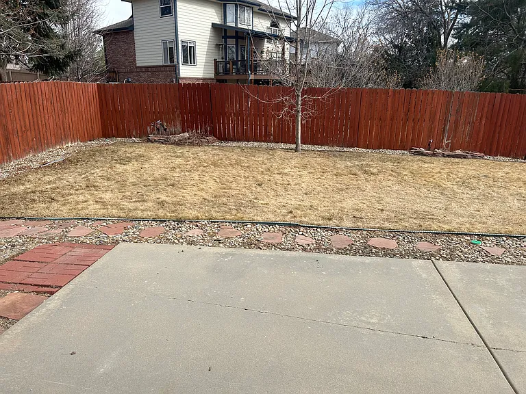 Back yard