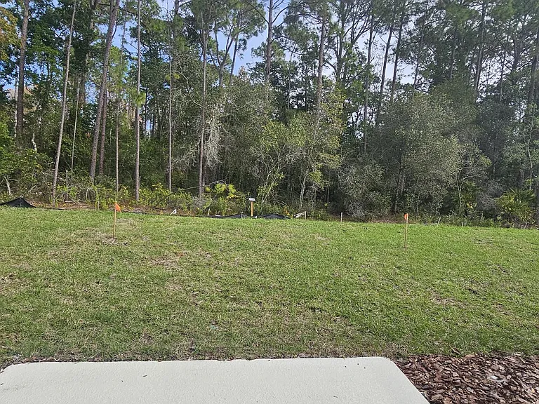 Backyard view with grassy area and tree-lined backdrop, offering a peaceful outdoor setting.