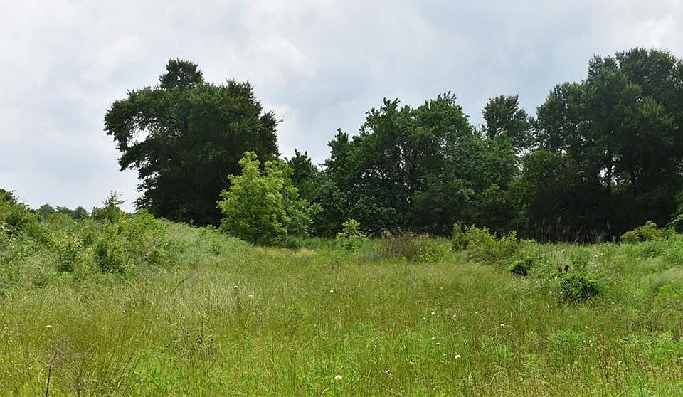 1st image of 5234 County Road 1107