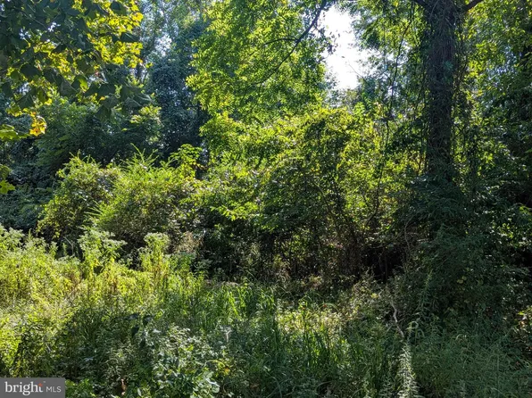 Oakley Dr, Bushwood, MD 20618