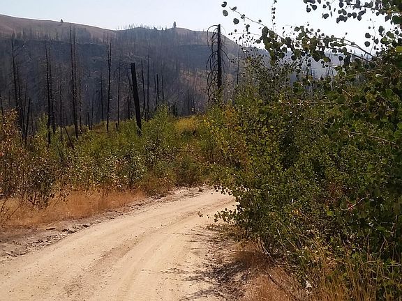 4th image of W Knox Creek Dr