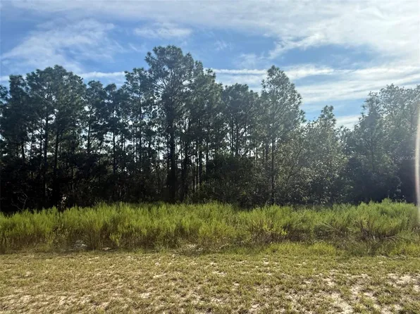 SW 135th Street Rd Lot 21, Ocala, FL 34473