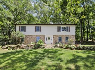 134 Munson St, Randolph, NJ 07869