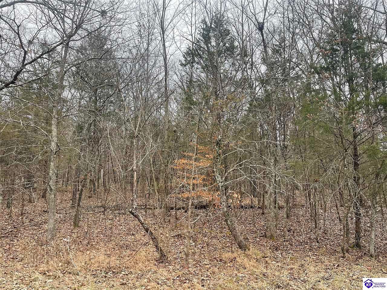 Lots 6 & 7 Cartwright Estates Dr, Lebanon Junction, KY 40150 MLS 