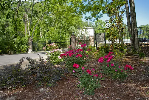 The Oaks at Midtown — Photo 12