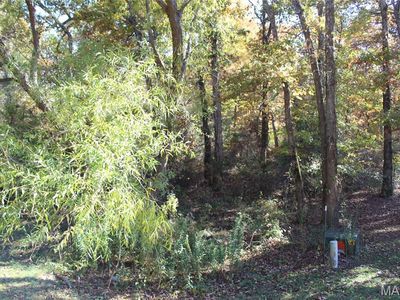 Sandpiper Ln, Fairdealing, MO, 63939