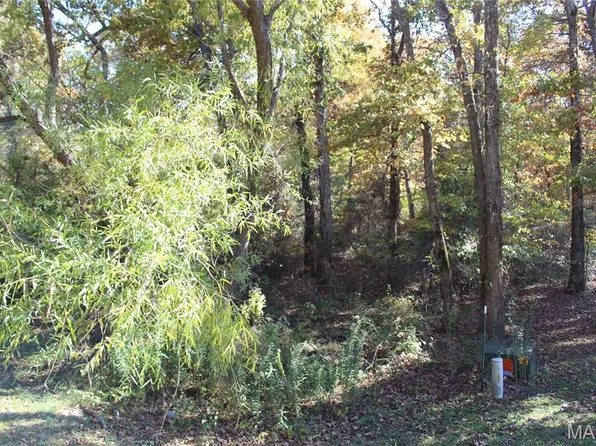 Sandpiper Ln, Fairdealing, MO 63939