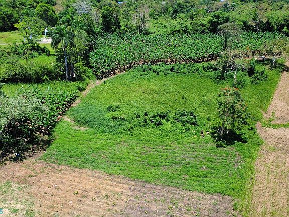 4th image of 1 Highway 446 Bo Robles San Sebastian Finca #Km-4.1-3.5