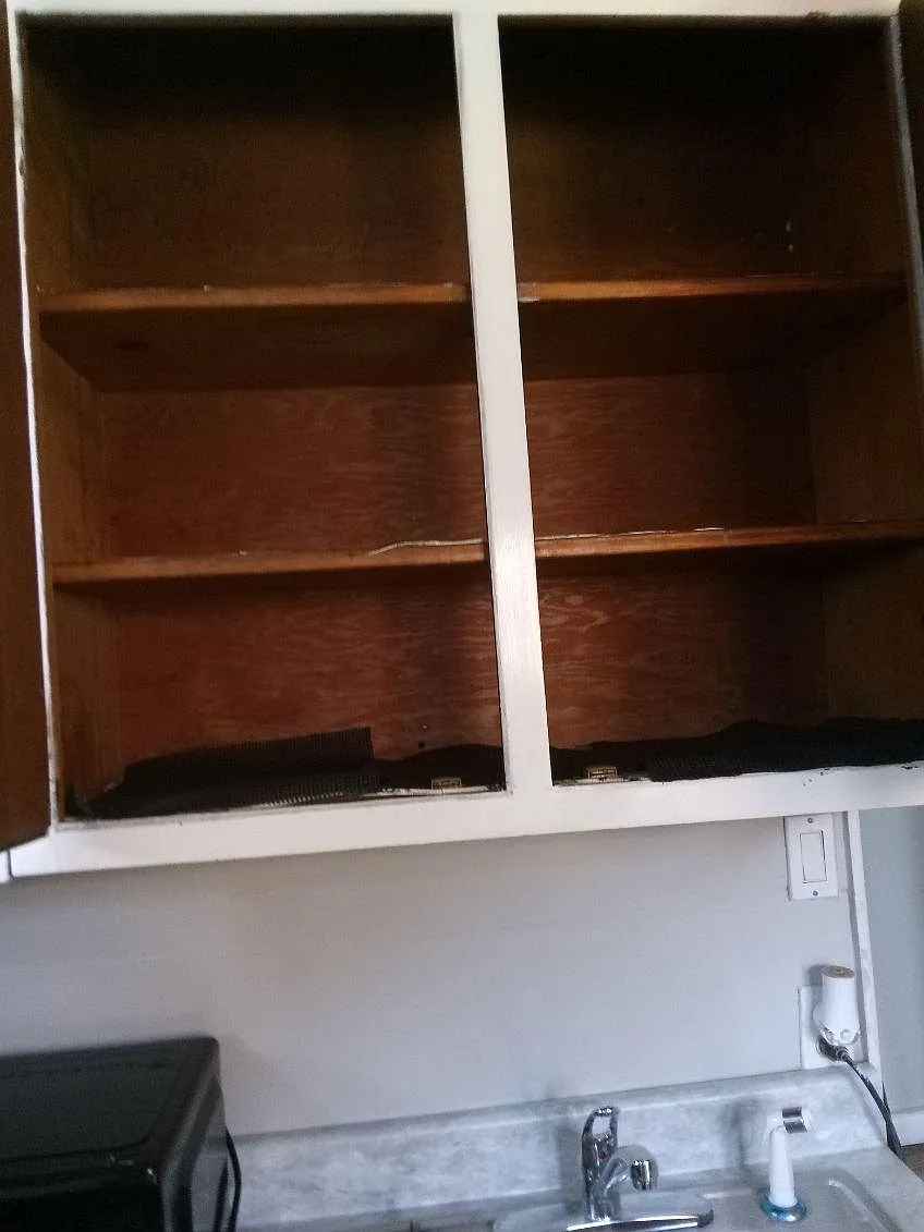 1 bed, 700 sqft, $1,300 — Photo 2