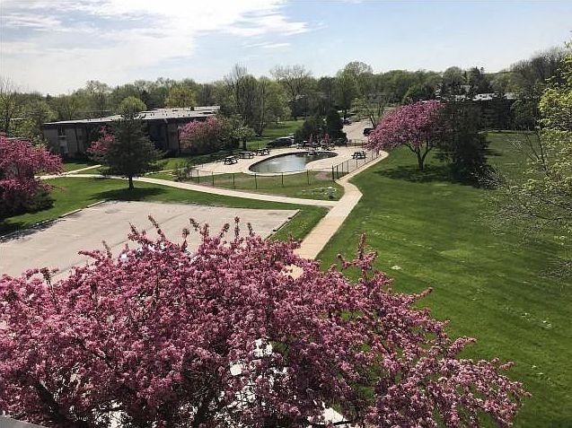 Pond and BBQ Area